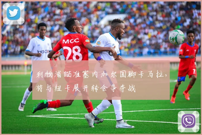 利物浦瞄准塞内加尔国脚卡马拉，将与纽卡展开转会争夺战